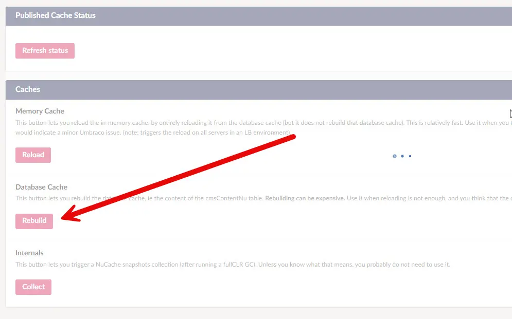 Problems with Rebuilding Umbraco Database Cache