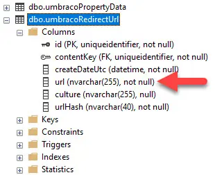 Umbraco dbo.umbracoRedirectUrl table
