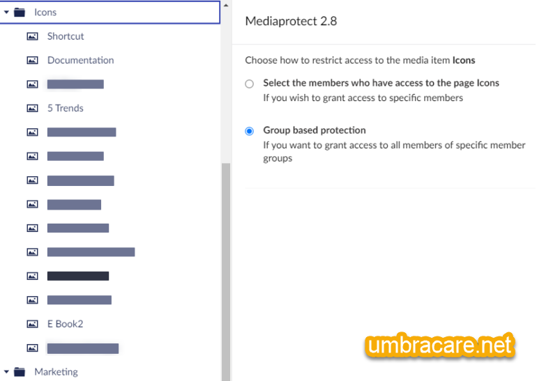 Media Protect restrict options
